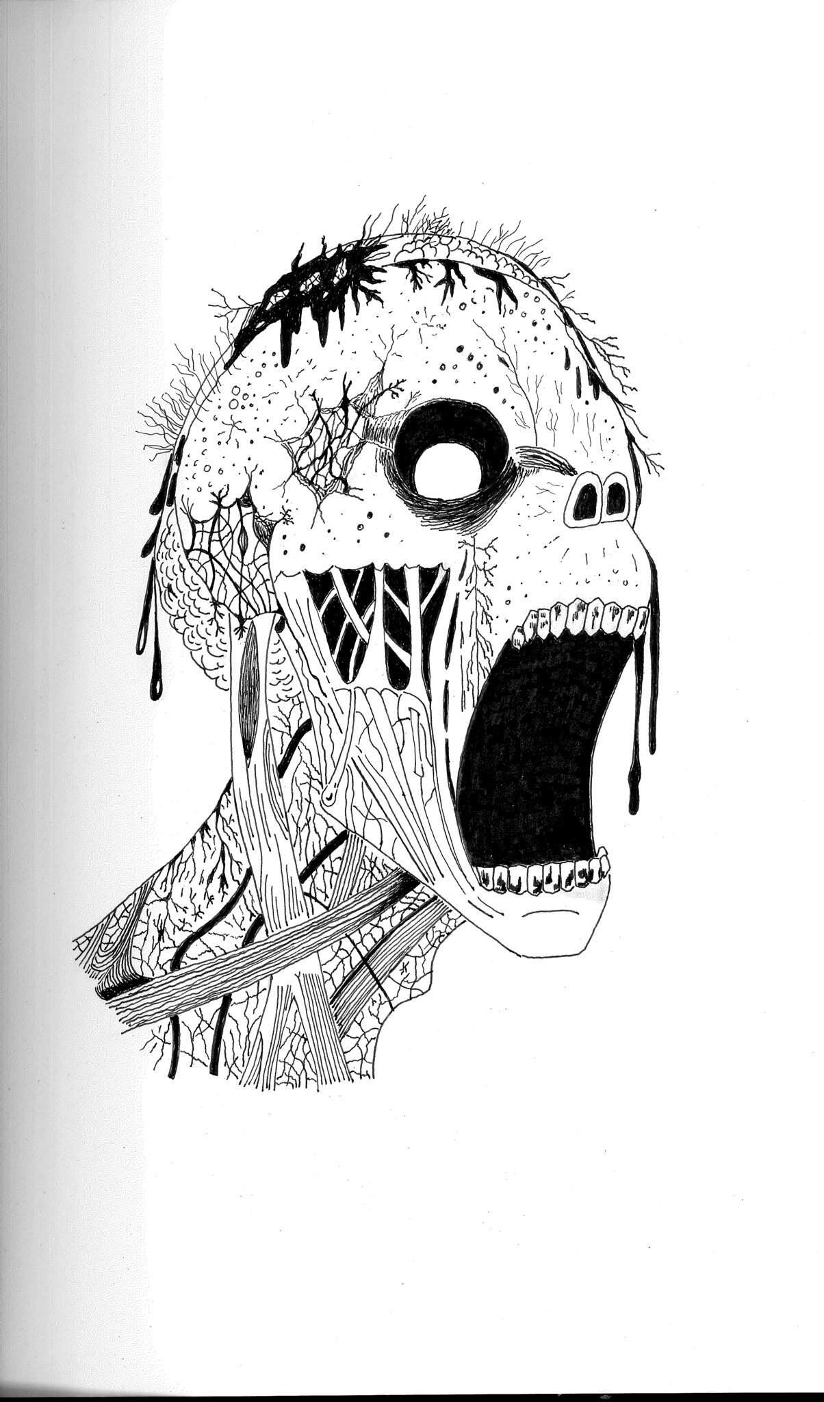 Eddie