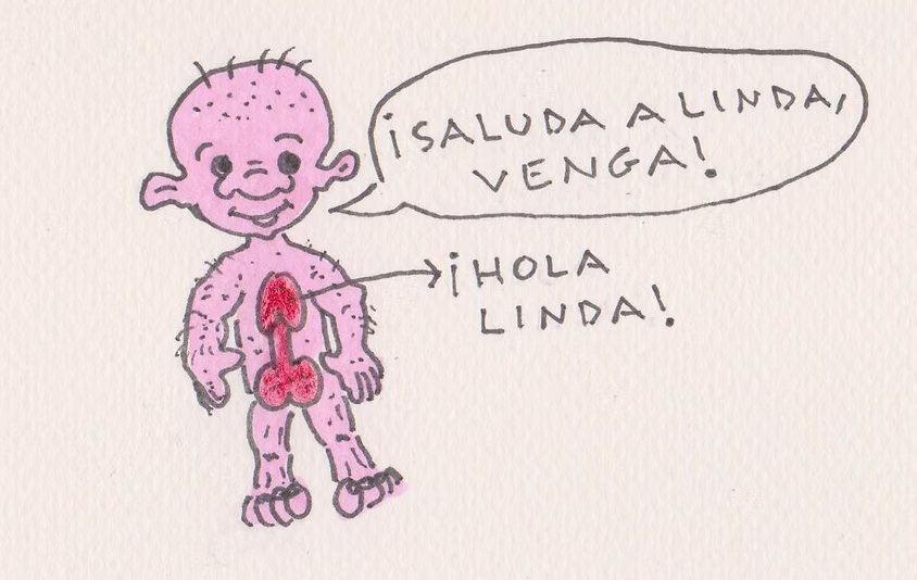 El Congreso, viñeta 24