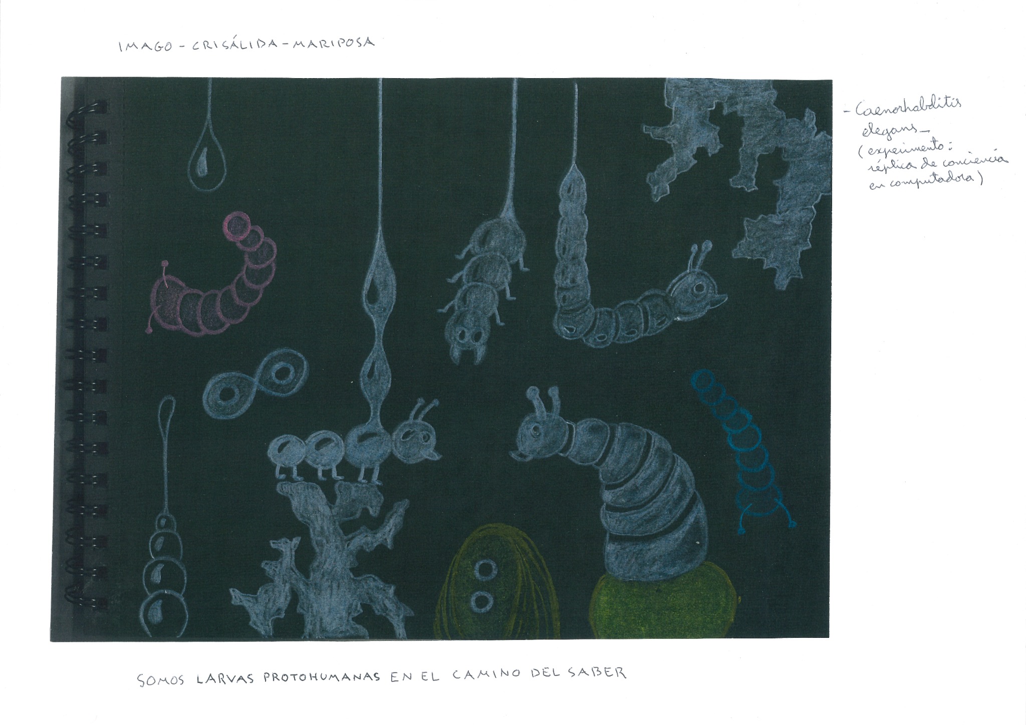 Larvas protohumanas